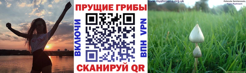 Псилоцибиновые грибы мухоморы  мега ONION  Полевской 
